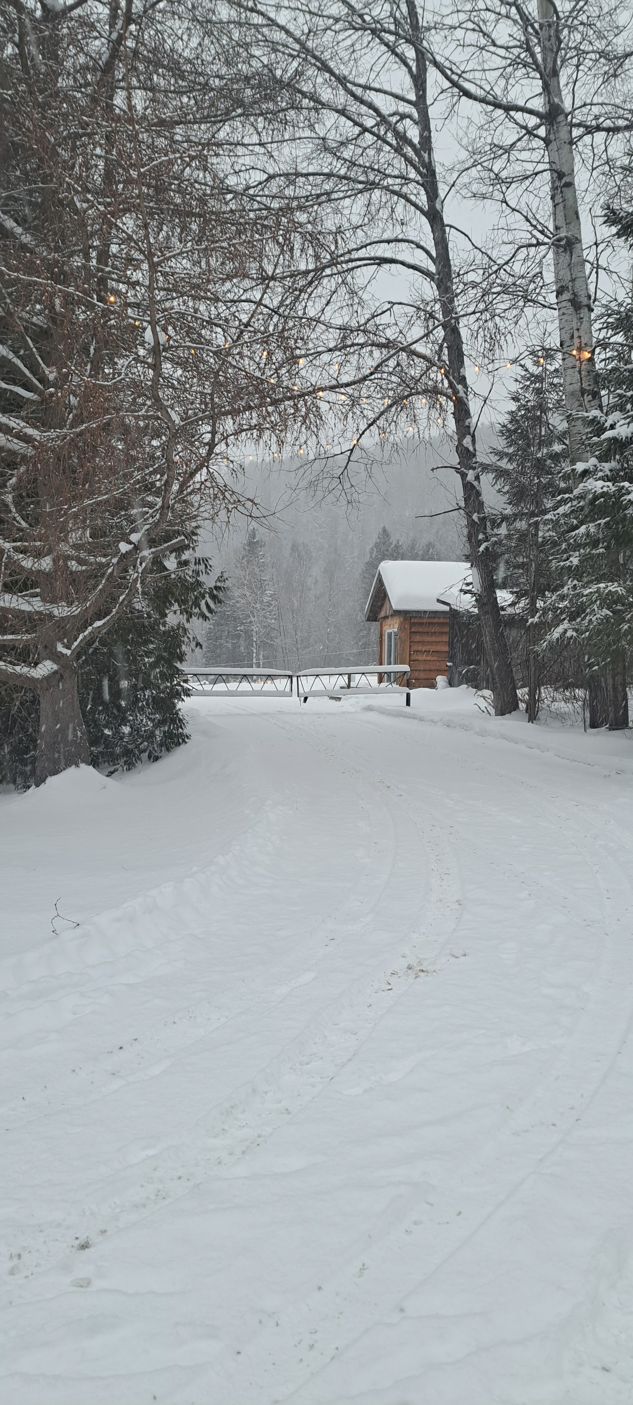 Cabane en bois rond.jpg